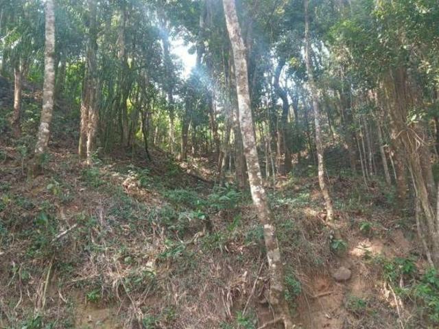 Terreno venda em Região Geográfica Imediata de Belo Horizonte, Região Metropolitana de Belo Horizonte