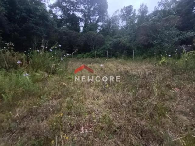 Terreno venda em Boracéia, São Sebastião