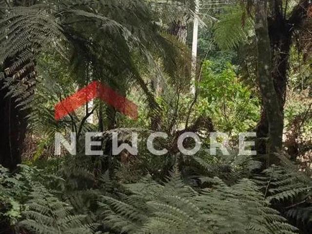 Terreno venda em Região Geográfica Imediata de Caxias do Sul, São Francisco de Paula