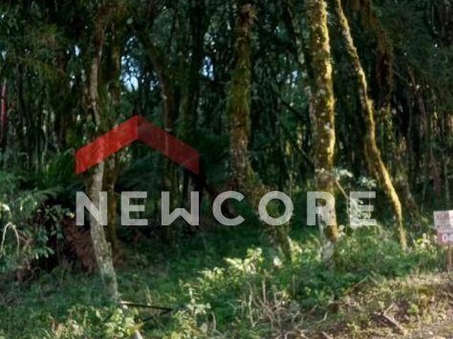 Terreno venda em Região Geográfica Imediata de Caxias do Sul, Canela