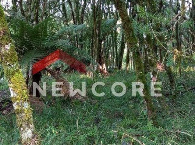 Terreno venda em Região Geográfica Imediata de Caxias do Sul, Canela