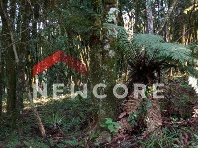 Terreno venda em Região Geográfica Imediata de Caxias do Sul, Canela