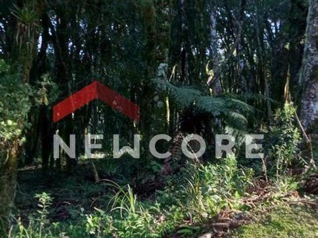 Terreno venda em Região Geográfica Imediata de Caxias do Sul, Canela
