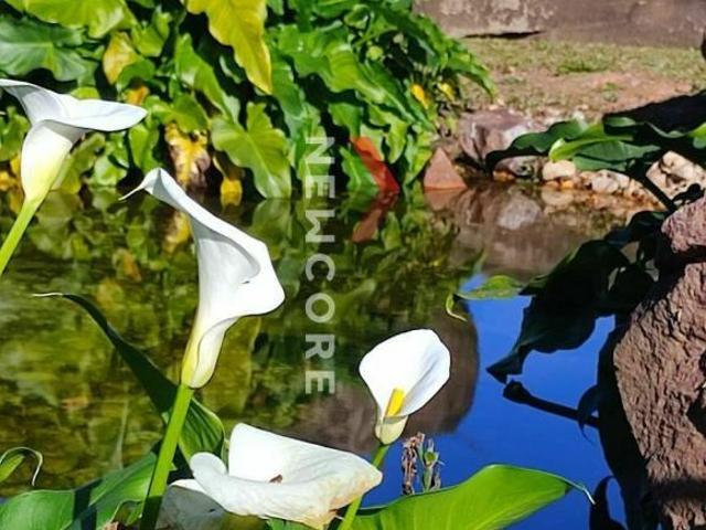 Terreno venda em Região Geográfica Imediata de Caxias do Sul, Caxias do Sul