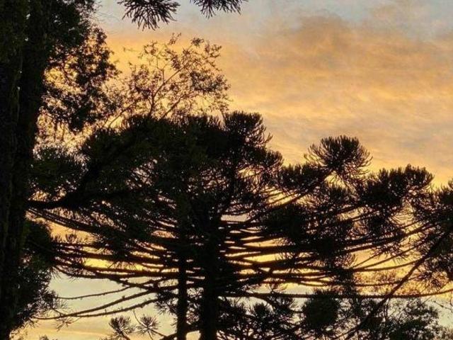Terreno venda em Região Geográfica Imediata de Caxias do Sul, Canela