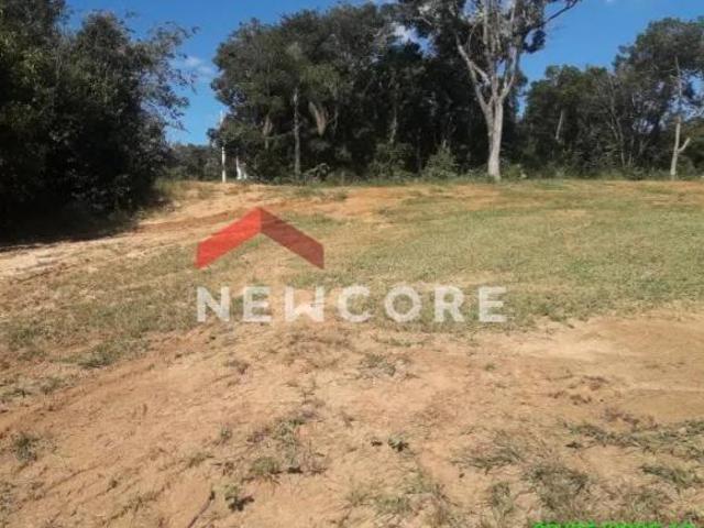 Terreno venda em Pardinho, Alto Pardinho