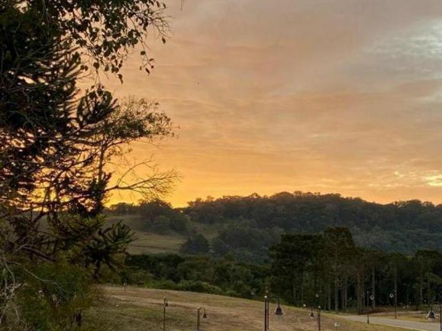 Terreno venda em Gramado
