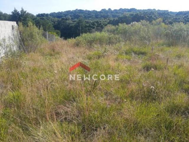 Terreno venda em Região Geográfica Imediata de Bento Gonçalves, Boa Vista do Sul