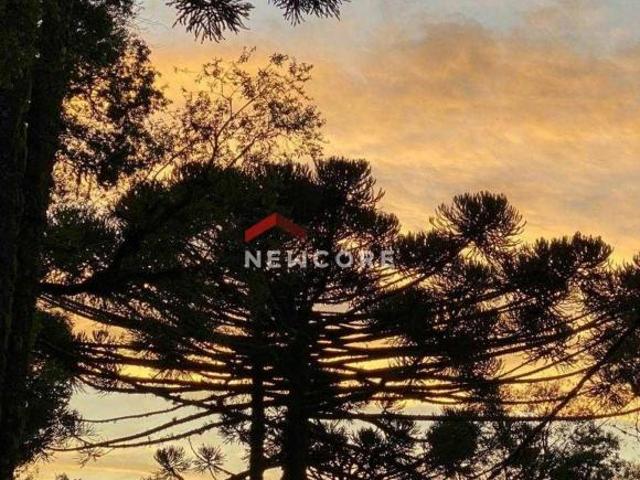 Terreno venda em Região Geográfica Imediata de Caxias do Sul, Canela