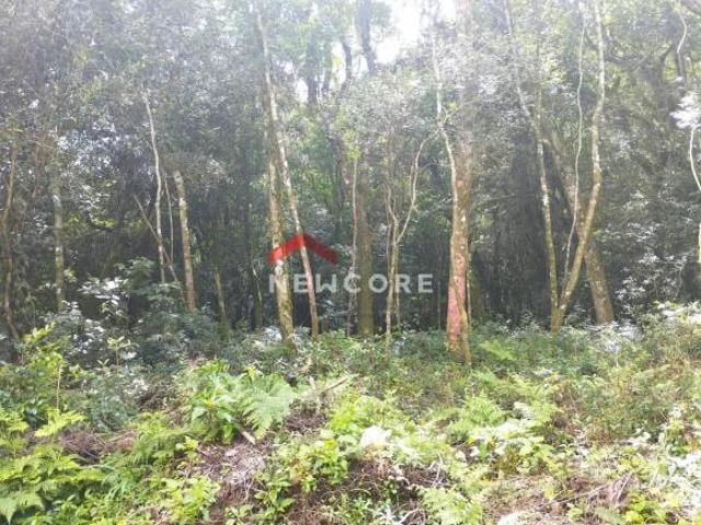 Terreno venda em Região Geográfica Imediata de Caxias do Sul, São Francisco de Paula