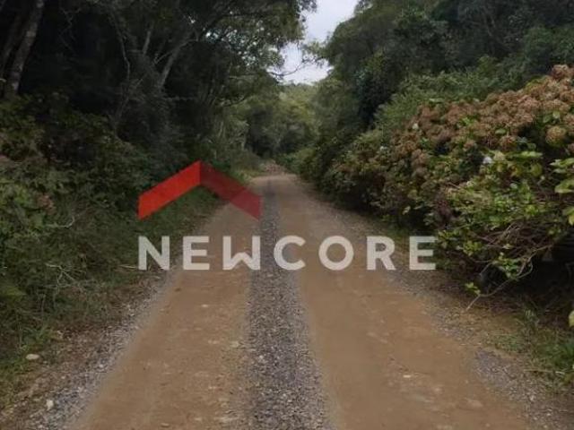 Terreno venda em Região Geográfica Imediata de Caxias do Sul, São Francisco de Paula