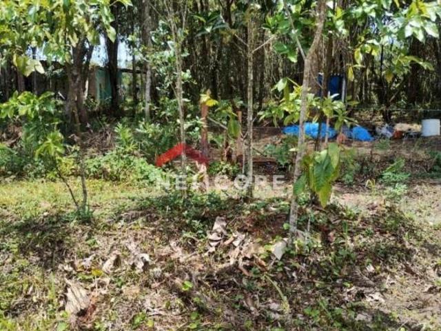 Terreno venda em Parque Guarani, São Paulo