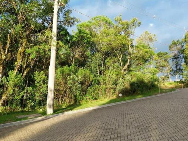 Terreno venda em Região Geográfica Imediata de Caxias do Sul, Gramado