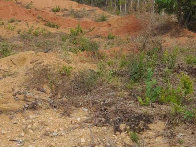 Terreno venda em Região Geográfica Imediata de Belo Horizonte, Região Metropolitana de Belo Horizonte