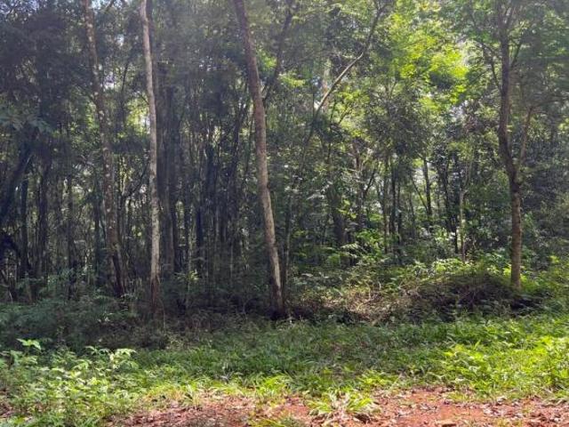 Terreno venda em Região Geográfica Imediata de Belo Horizonte, Região Metropolitana de Belo Horizonte