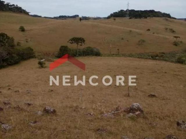 Terreno venda em Região Geográfica Imediata de Caxias do Sul, São Francisco de Paula