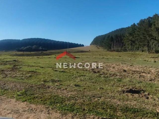 Terreno venda em Região Geográfica Imediata de Caxias do Sul, São Francisco de Paula