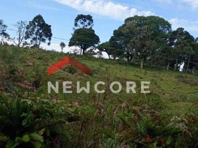 Terreno venda em Região Geográfica Imediata de Caxias do Sul, São Francisco de Paula