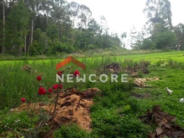 Terreno venda em Região Geográfica Imediata de Caxias do Sul, São Francisco de Paula