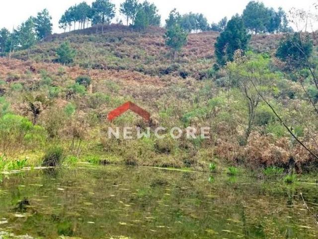 Terreno venda em Região Geográfica Imediata de Caxias do Sul, São Francisco de Paula