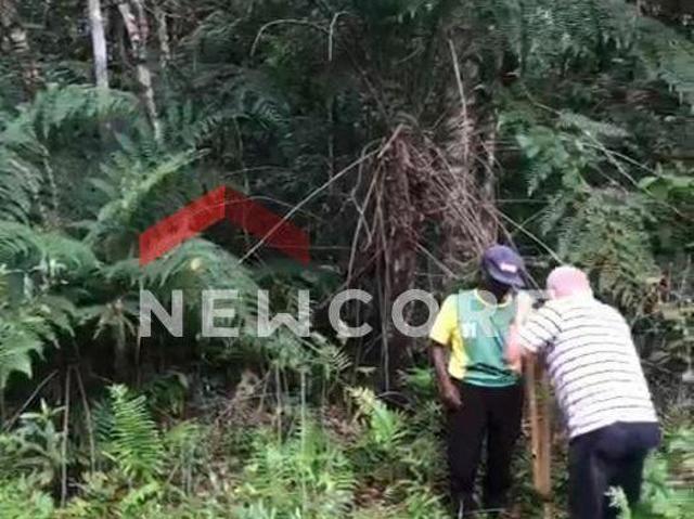 Terreno venda em Região Imediata de Santos, Região Metropolitana da Baixada Santista