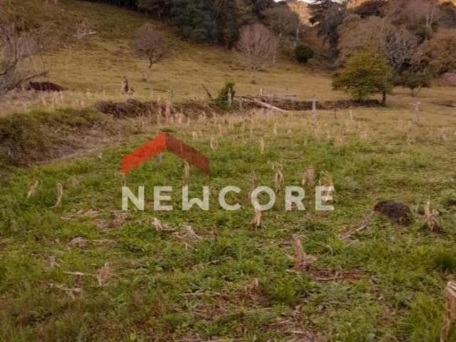 Terreno venda em Região Geográfica Imediata de Caxias do Sul, São Francisco de Paula