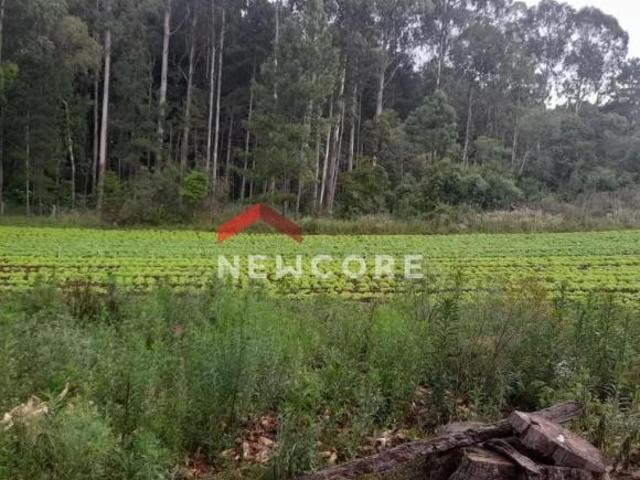 Terreno venda em Região Geográfica Imediata de Caxias do Sul, São Francisco de Paula
