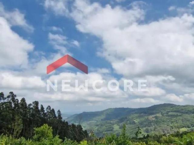 Terreno venda em Região Geográfica Imediata de Caxias do Sul, São Francisco de Paula