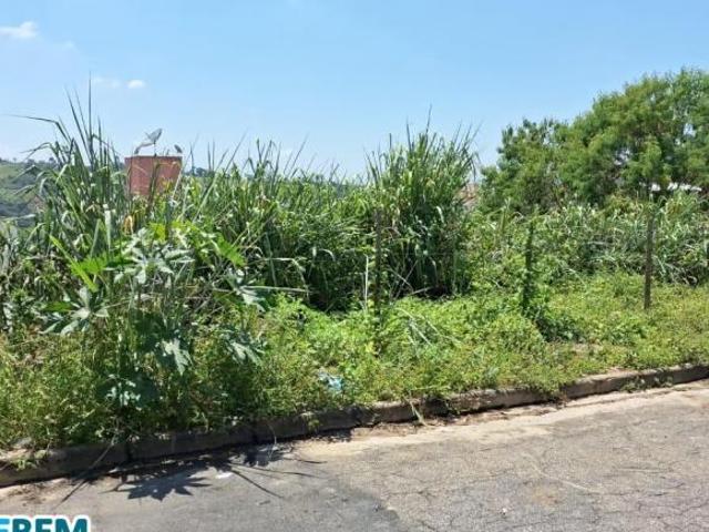Sítio e chácara venda em Região Geográfica Imediata de Ipatinga, Região Metropolitana do Vale do Aço