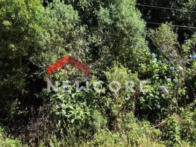 Terreno venda em Região Geográfica Imediata de Caxias do Sul, São Francisco de Paula
