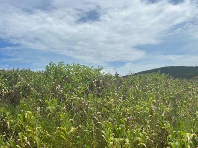 Terreno venda em Região Imediata de Sorocaba, Região Metropolitana de Sorocaba