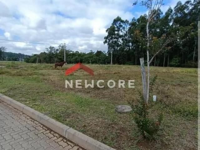 Terreno venda em Região Geográfica Imediata de Taquara - Parobé - Igrejinha, Região Metropolitana de Porto Alegre