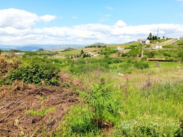 Terreno venda em Lamego, Viseu