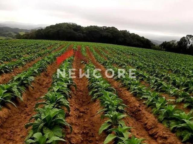 Terreno venda em Região Geográfica Imediata de Porto Alegre, Mariana Pimentel