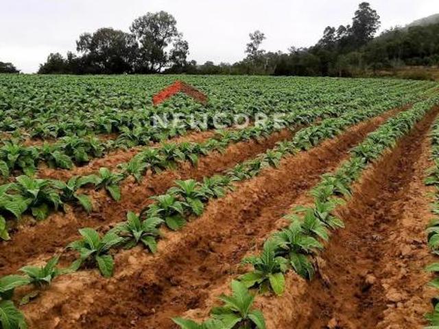 Terreno venda em Região Geográfica Imediata de Porto Alegre, Mariana Pimentel