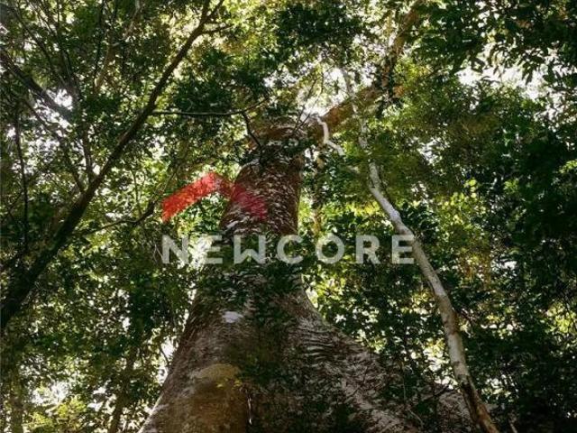 Terreno venda em Várzea, Lagoa Santa