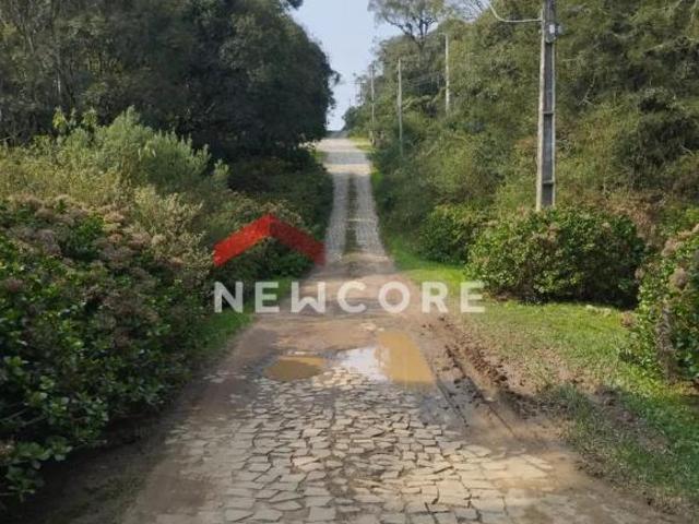 Terreno venda em Região Geográfica Imediata de Caxias do Sul, São Francisco de Paula