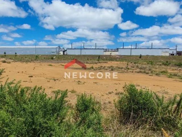 Terreno venda em Região Geográfica Imediata de Caxias do Sul, São Francisco de Paula