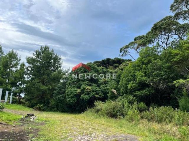 Terreno venda em Região Geográfica Imediata de Caxias do Sul, São Francisco de Paula