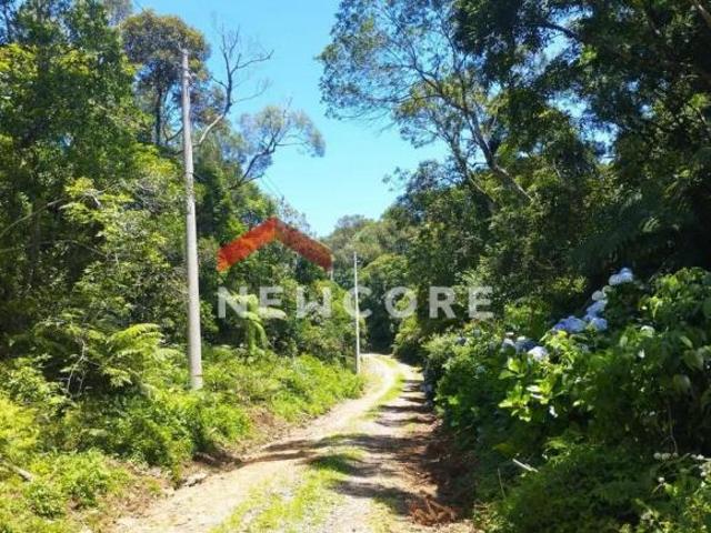 Terreno venda em Região Geográfica Imediata de Caxias do Sul, São Francisco de Paula