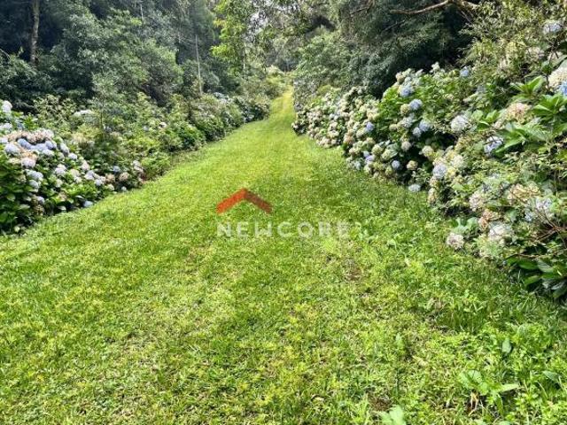 Terreno venda em Região Geográfica Imediata de Caxias do Sul, São Francisco de Paula