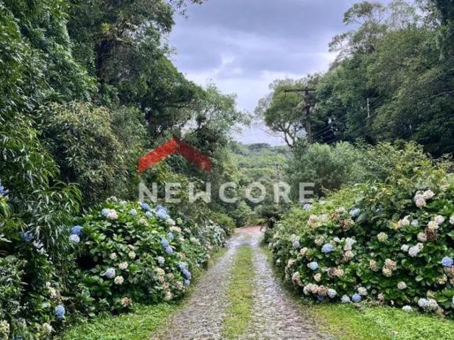 Terreno venda em Região Geográfica Imediata de Caxias do Sul, São Francisco de Paula