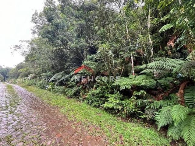 Terreno venda em Região Geográfica Imediata de Caxias do Sul, São Francisco de Paula