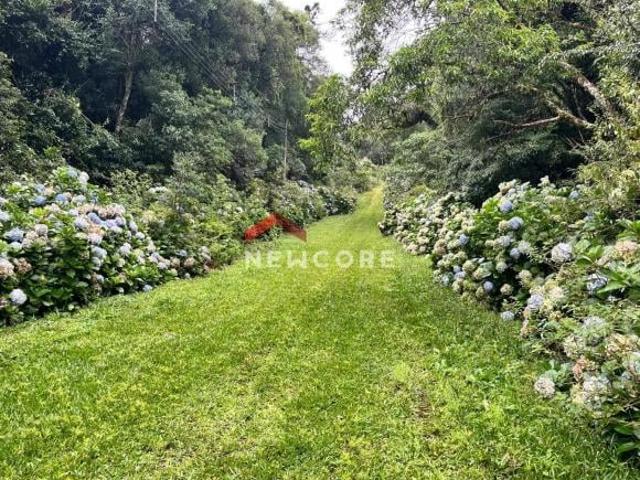Terreno venda em Lajeado Grande, São Francisco de Paula