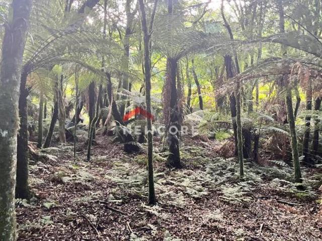 Terreno venda em Região Geográfica Imediata de Caxias do Sul, São Francisco de Paula