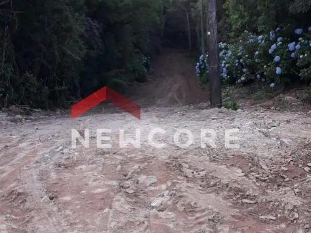 Terreno venda em Região Geográfica Imediata de Caxias do Sul, São Francisco de Paula