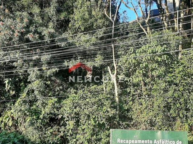 Terreno venda em Gramado