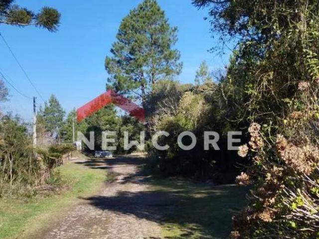 Terreno venda em Região Geográfica Imediata de Caxias do Sul, São Francisco de Paula