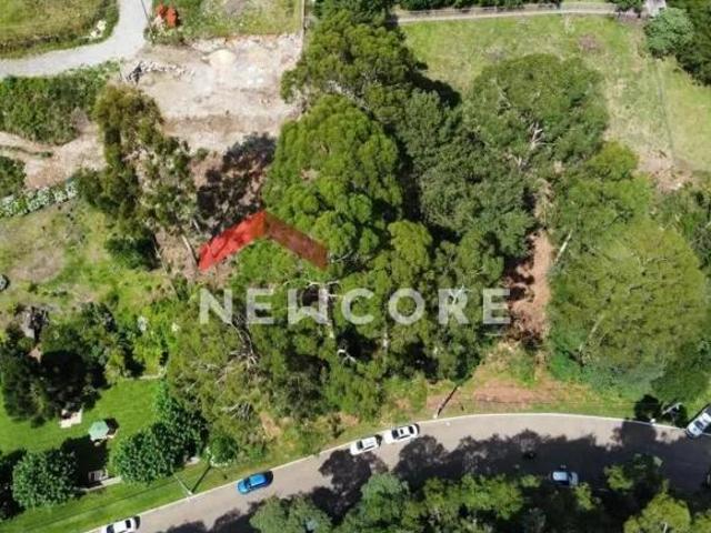 Terreno venda em Região Geográfica Imediata de Caxias do Sul, São Francisco de Paula