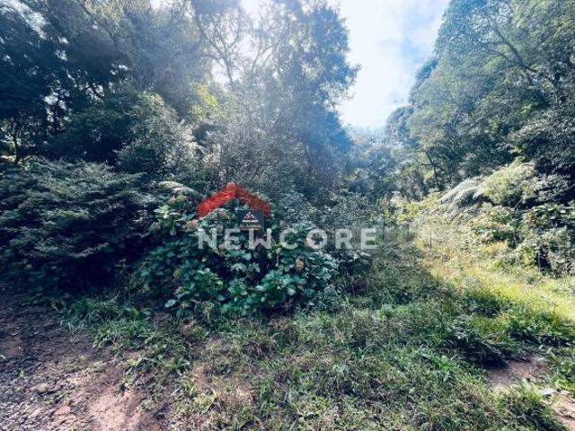 Terreno venda em Região Geográfica Imediata de Caxias do Sul, São Francisco de Paula